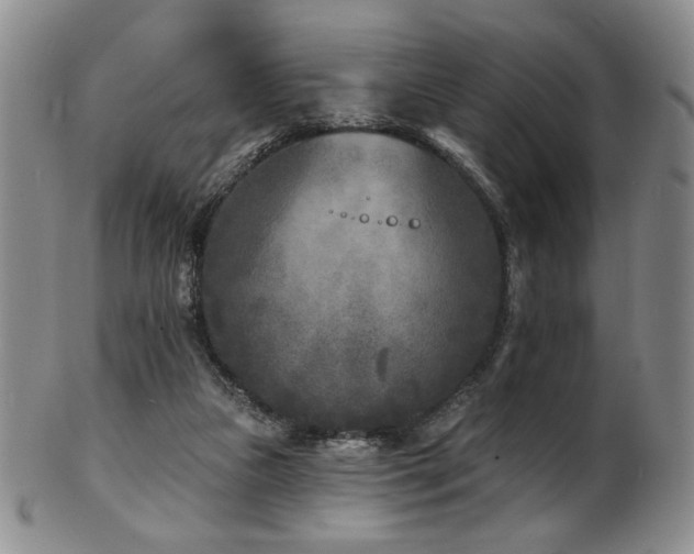 X0000101700161200807101545