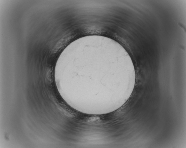 X0000101700162200807101545