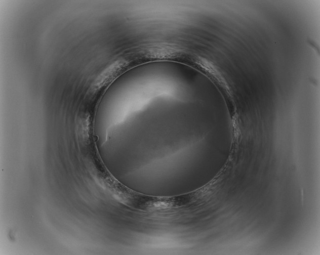 X0000101700163200807101545