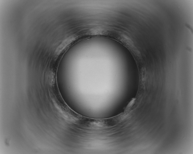 X0000101700164200807101545