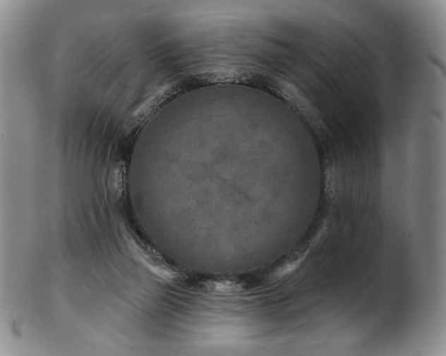 X0000101700165200807101545