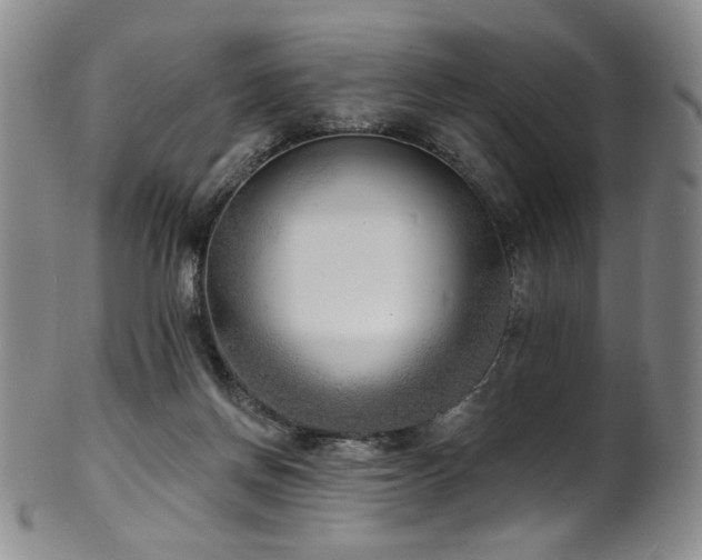 X0000101700166200807101545