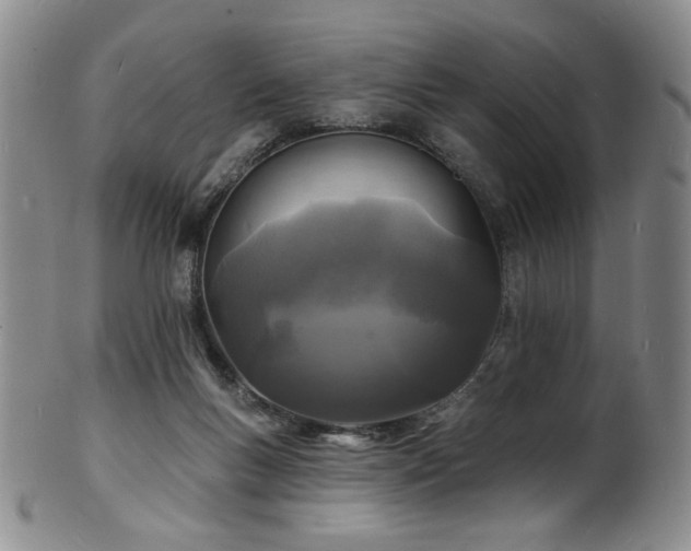 X0000101700167200807101545