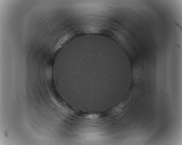 X0000101700168200807101545