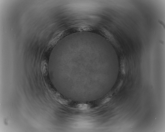 X0000101700169200807101545