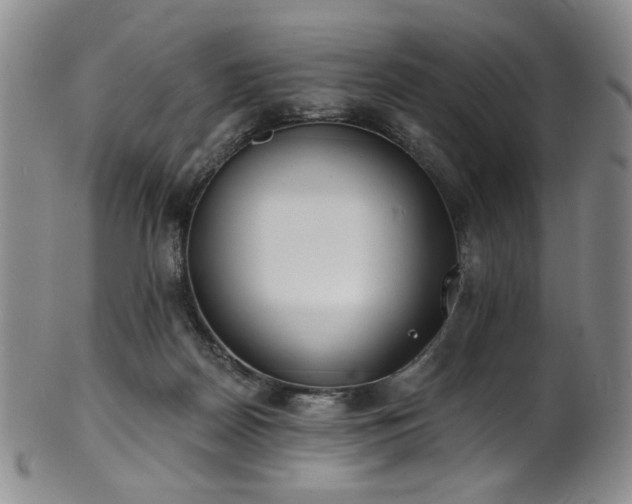 X0000101700170200807101545