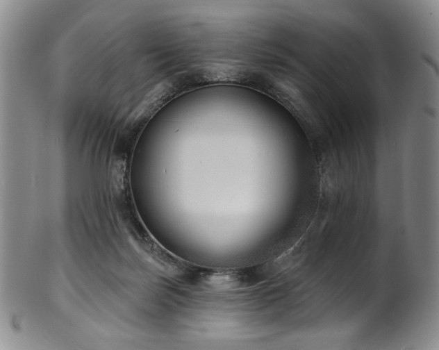X0000101700171200807101545