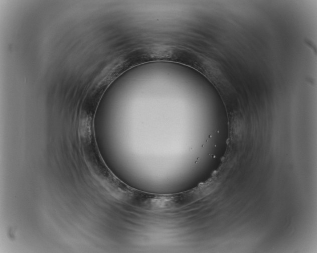 X0000101700172200807101545