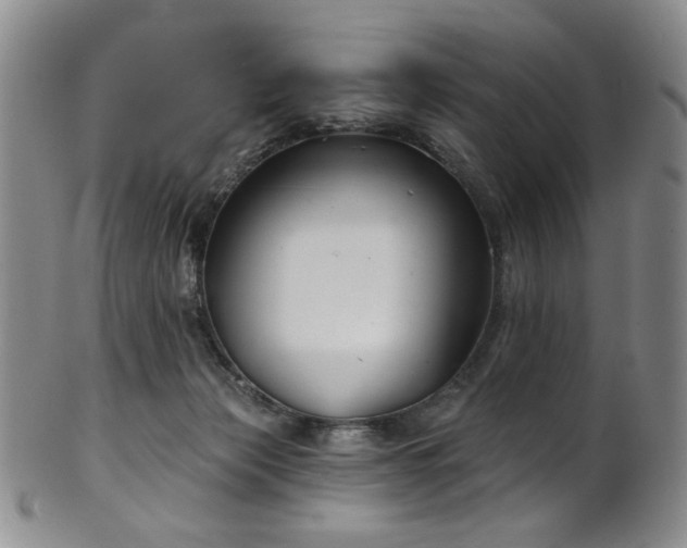 X0000101700173200807101545