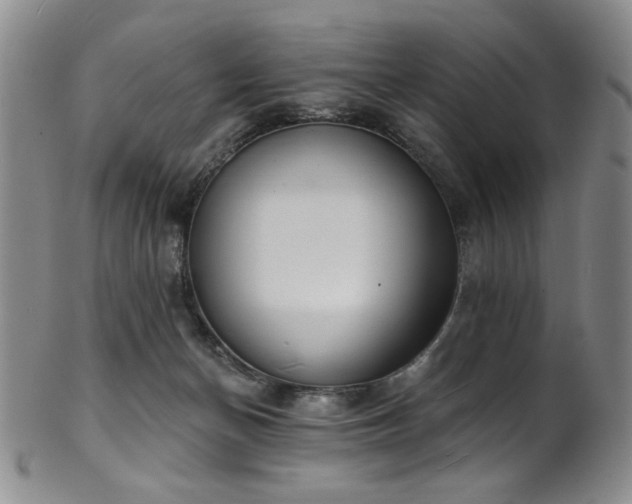X0000101700174200807101545