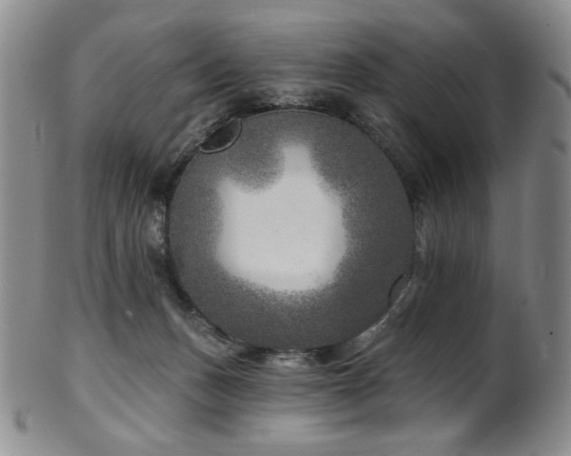 X0000101700175200807101545