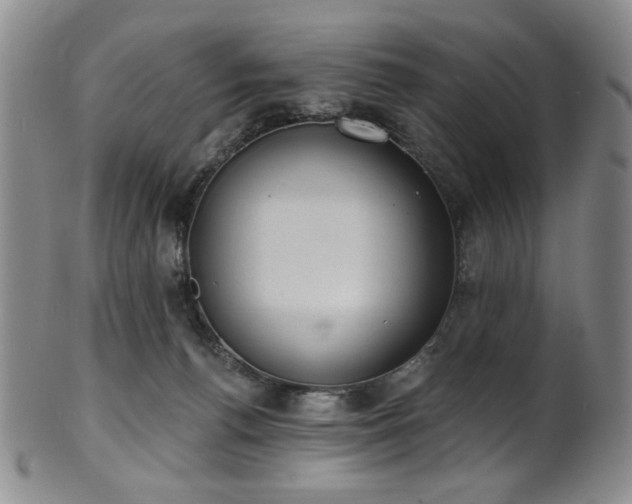 X0000101700176200807101545