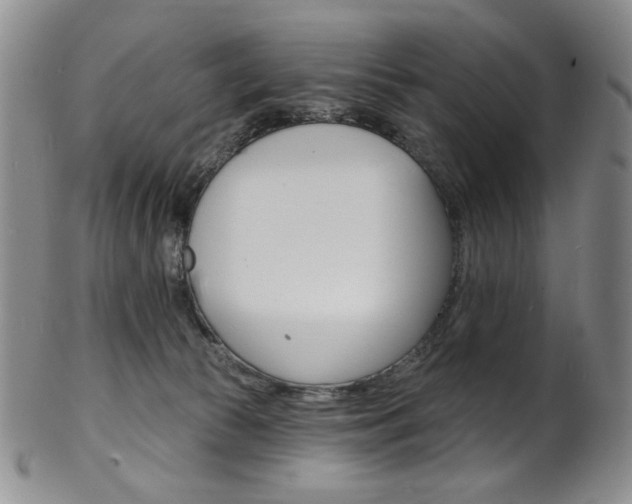 X0000101700177200807101545