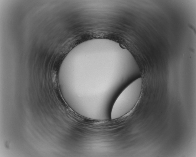 X0000101700178200807101545