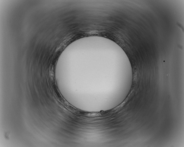 X0000101700179200807101545