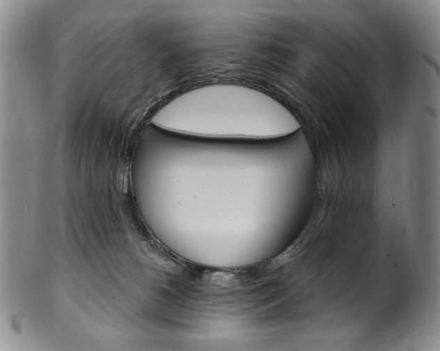 X0000101700180200807101545