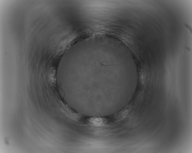 X0000101700181200807101545