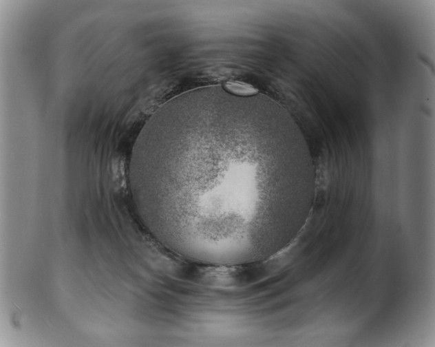 X0000101700182200807101545