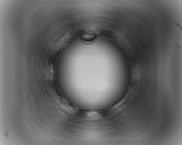 X0000101700183200807101545