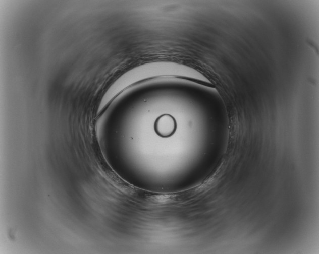 X0000101700184200807101545