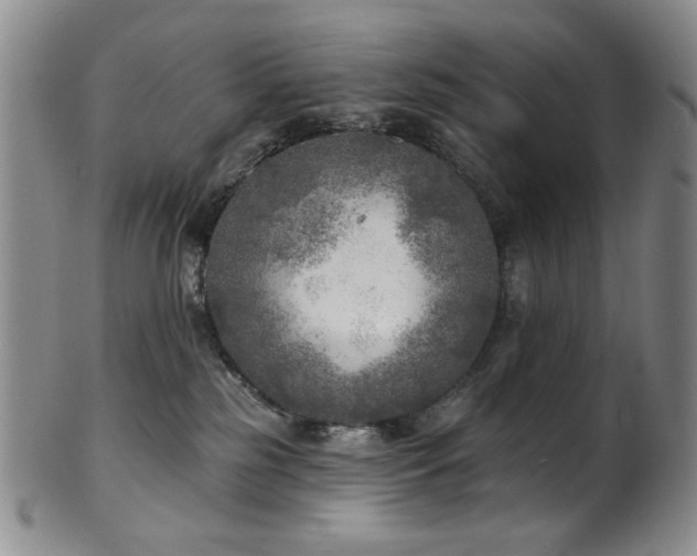 X0000101700185200807101545