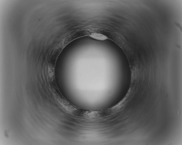 X0000101700186200807101545
