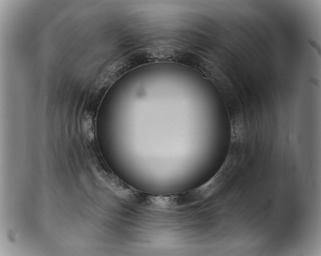 X0000101700187200807101545