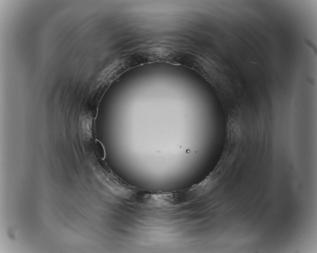 X0000101700188200807101545
