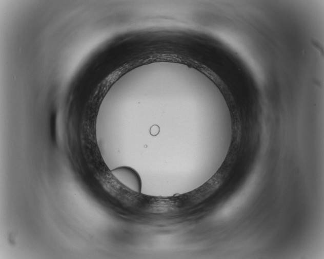 X0000101700189200807101545