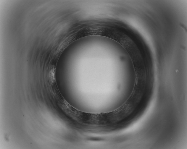 X0000101700190200807101545