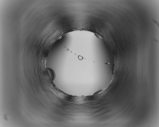 X0000101700191200807101546