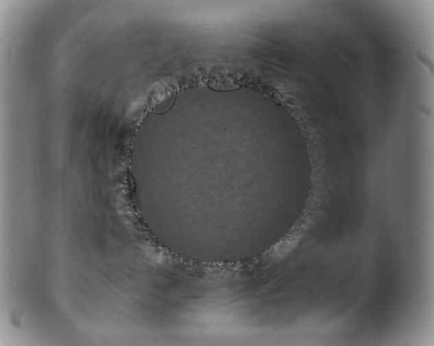 X0000101700192200807101546