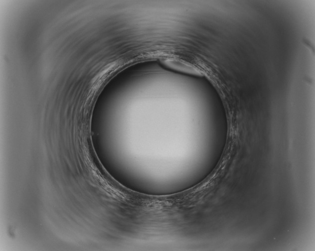 X0000101700193200807101545
