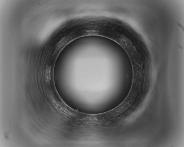 X0000101700194200807101545