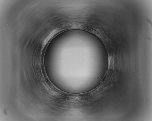 X0000101700195200807101545