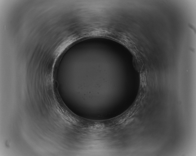 X0000101700196200807101545