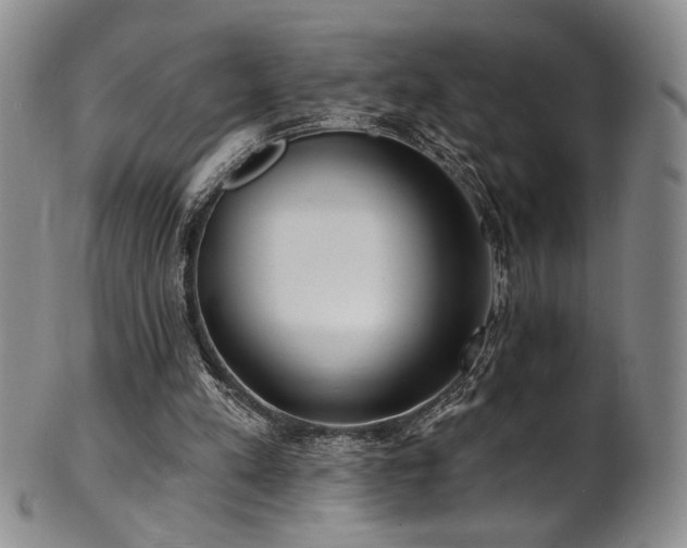 X0000101700197200807101545