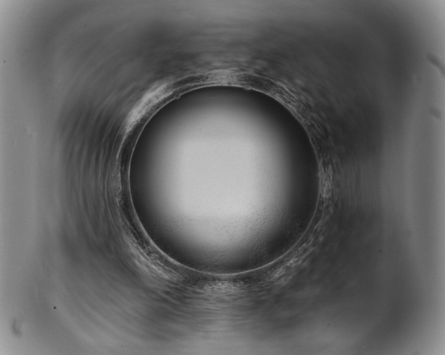 X0000101700198200807101545