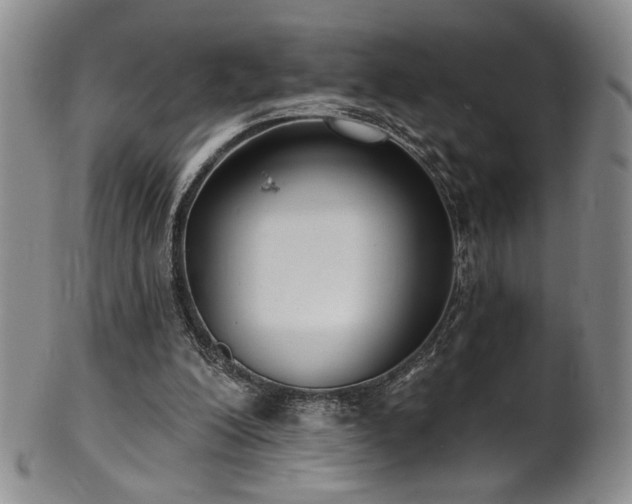 X0000101700200200807101545