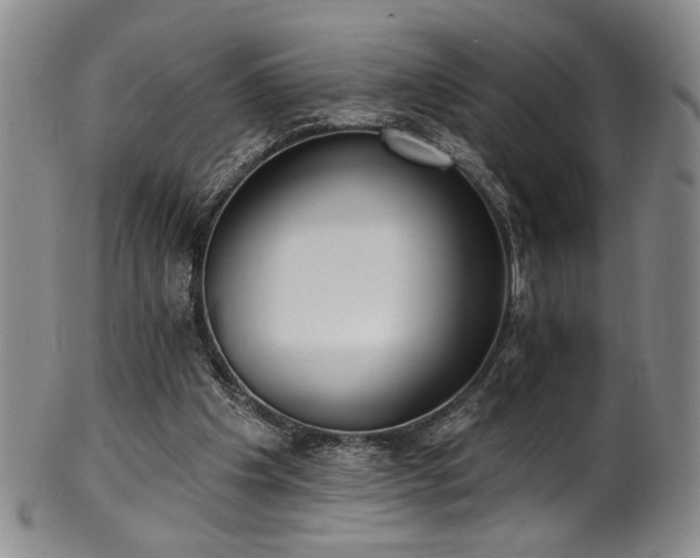 X0000101700201200807101545