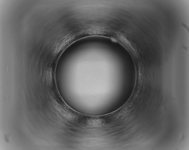 X0000101700202200807101545