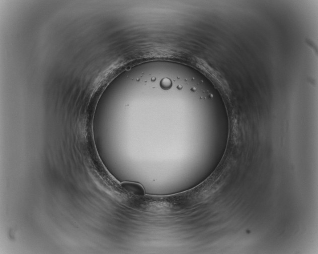 X0000101700203200807101545