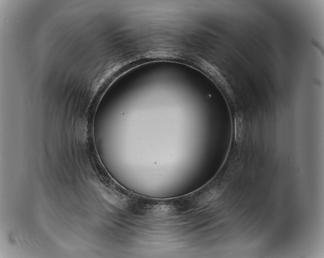 X0000101700204200807101545