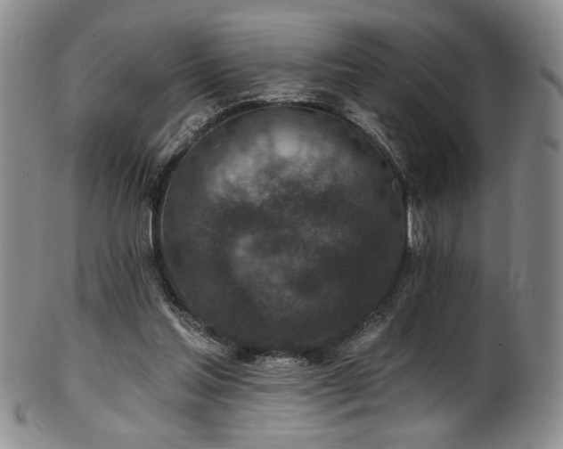 X0000101700205200807101545