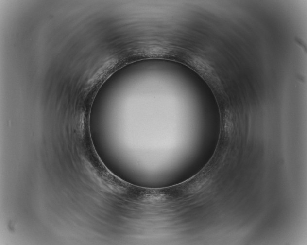X0000101700206200807101545