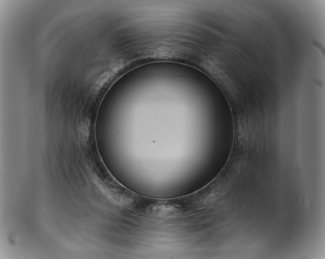 X0000101700208200807101545