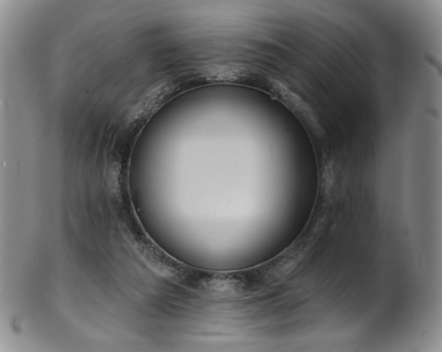 X0000101700209200807101545