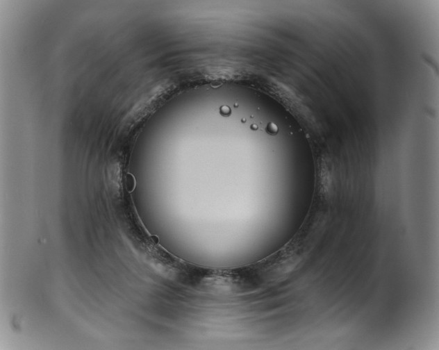 X0000101700211200807101545