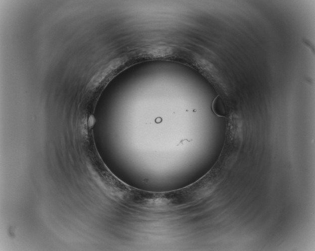 X0000101700212200807101545