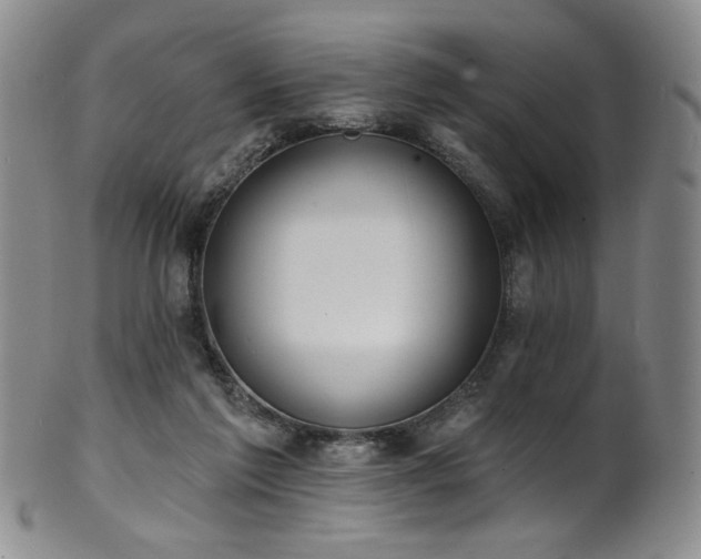 X0000101700213200807101545